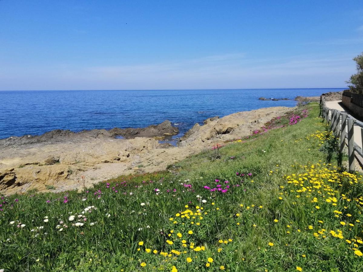 Willa Casa Platja D'En Robert El Port De La Selva Zewnętrze zdjęcie